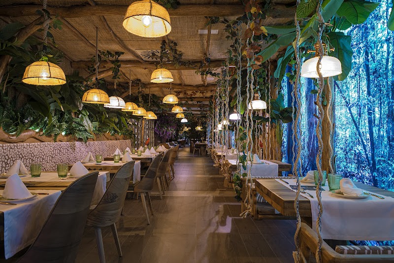 La Selva Barcelona | Còrsega