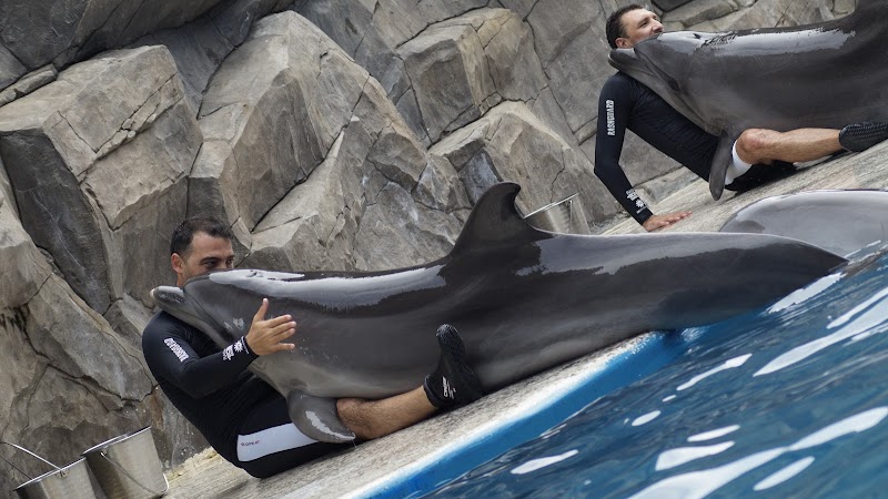 Batumi Dolphinarium
